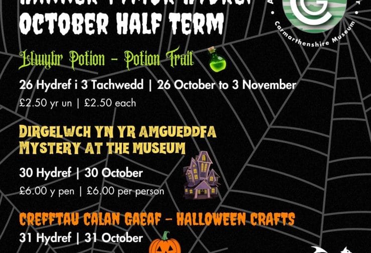 Poster y digwyddiad / Poster of the event