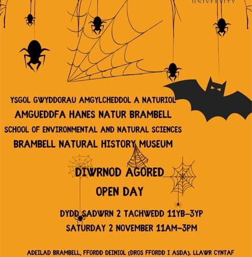 Poster y digwyddiad yn Amgueddfa Brambell / Poster for the event at Brambell University.