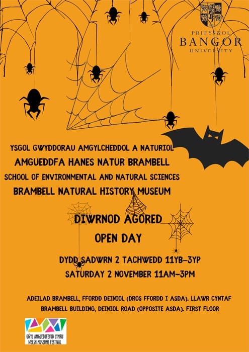 Diwrnod Agored - Amgueddfa Hanes Natur Brambell Prifysgol Bangor