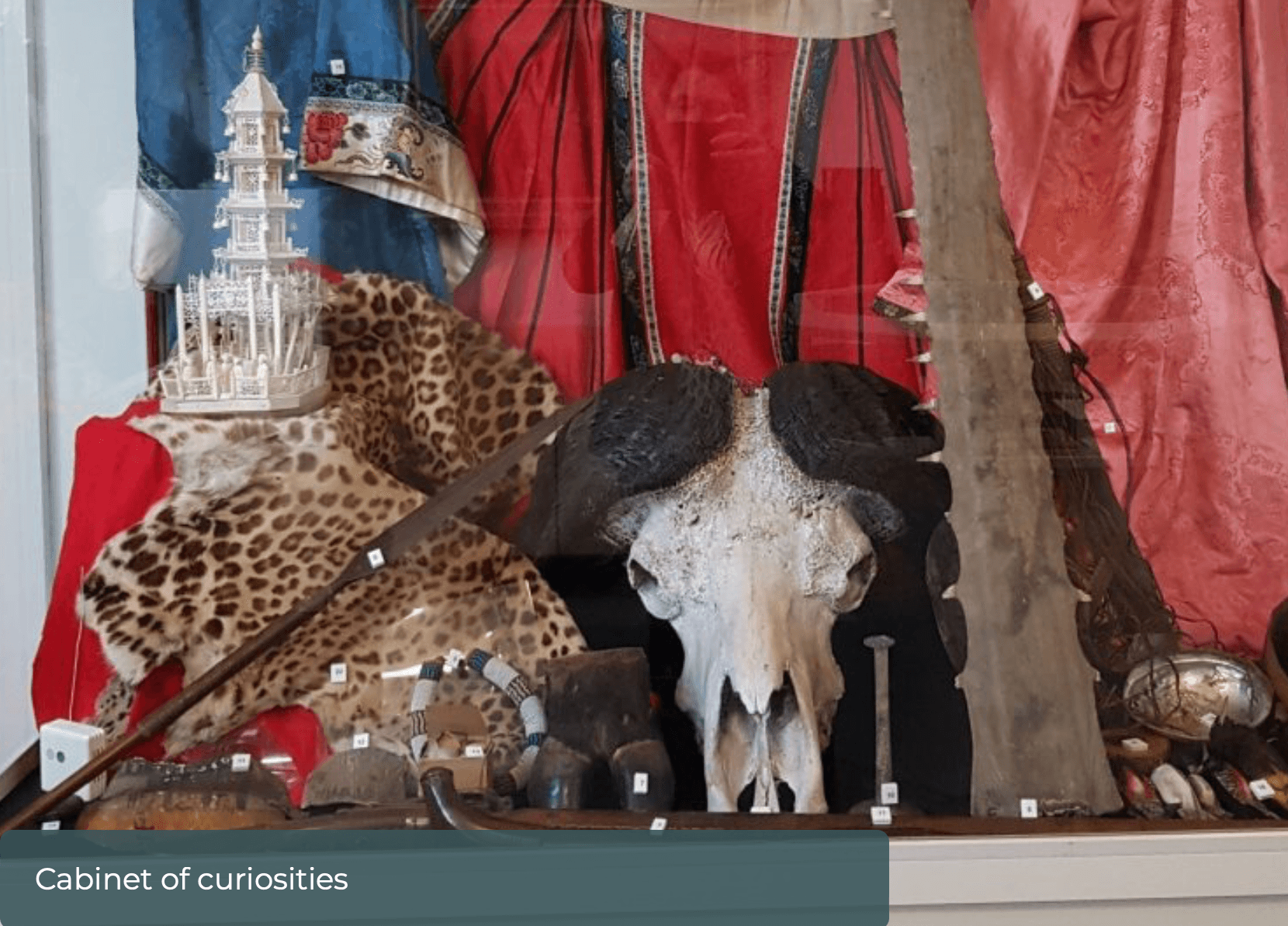 Your Museum Trail – Radnorshire Museum