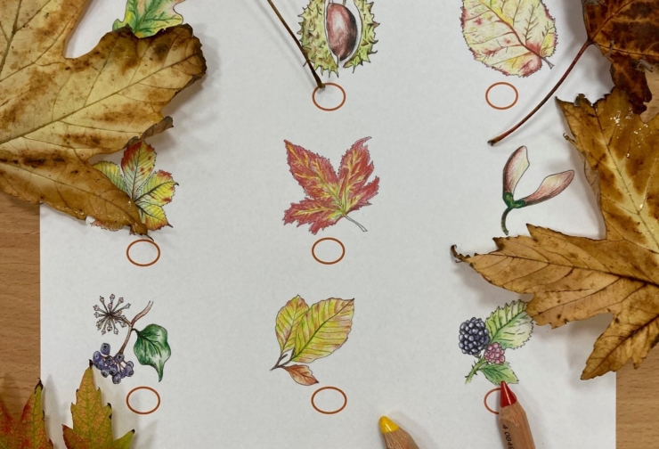 Autumn Trail: ‘the flocked leaves in the dew dipped year’